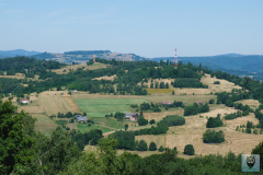 20-DSCF9590