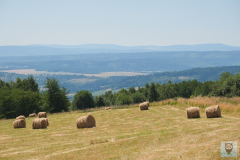 24-DSCF9669