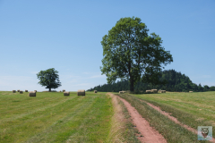 33-DSCF9776